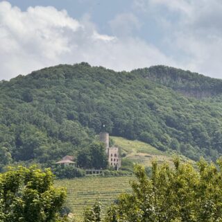 Strahlenburg https://spd-schriesheim.de/wp-content/uploads/2025/10/Strahlenburg-320x320.jpeg