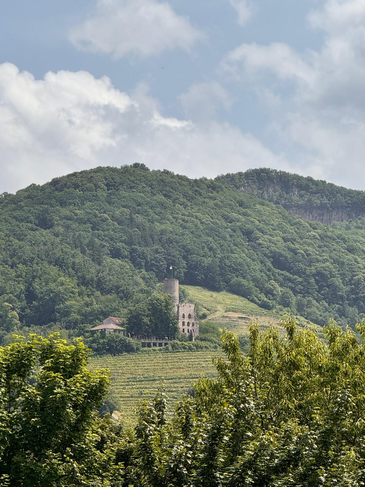 https://spd-schriesheim.de/wp-content/uploads/2025/10/Strahlenburg.jpeg